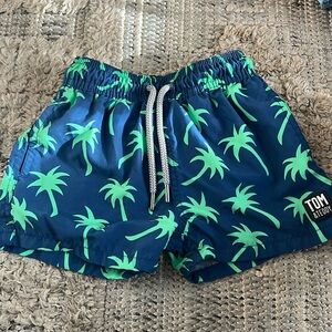 Toddler Tom & Teddy Bathing Suit